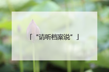 “请听档案说”