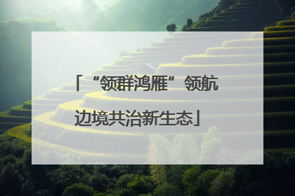 “领群鸿雁”领航边境共治新生态