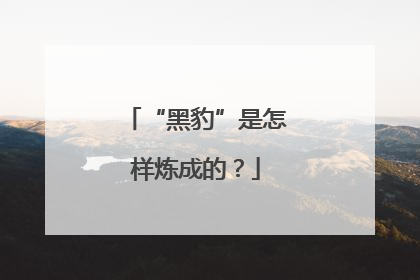 “黑豹”是怎样炼成的？