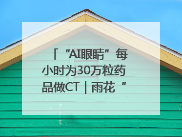 “AI眼睛”每小时为30万粒药品做CT｜雨花“创”世代