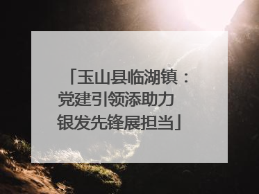 玉山县临湖镇：党建引领添助力 银发先锋展担当