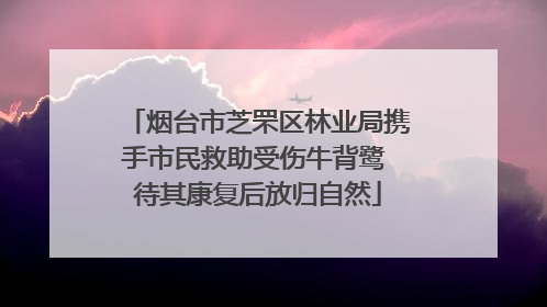 烟台市芝罘区林业局携手市民救助受伤牛背鹭 待其康复后放归自然