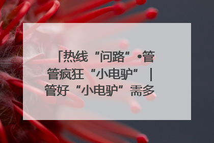热线“问路”•管管疯狂“小电驴”｜管好“小电驴”需多部门形成合力