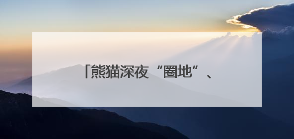 熊猫深夜“圈地”、羚牛故地重游 四川崇州红外相机定格近20种珍稀动物呆萌瞬间