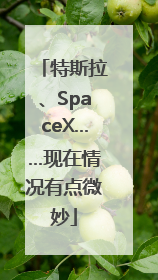 特斯拉、SpaceX……现在情况有点微妙