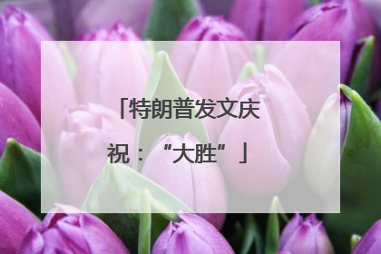 特朗普发文庆祝：“大胜”