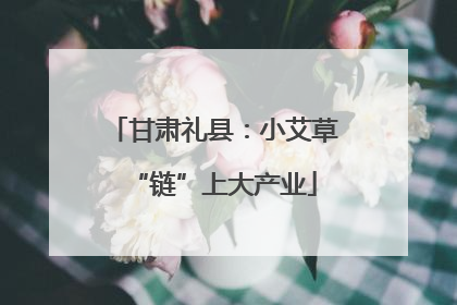 甘肃礼县：小艾草“链”上大产业