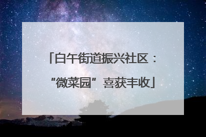 白午街道振兴社区：“微菜园”喜获丰收