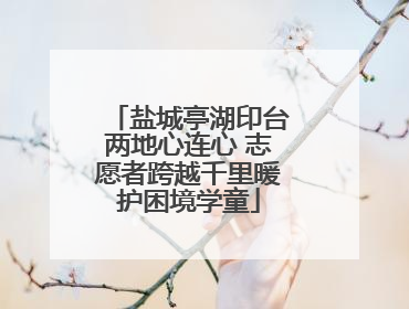盐城亭湖印台两地心连心 志愿者跨越千里暖护困境学童