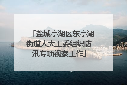 盐城亭湖区东亭湖街道人大工委组织防汛专项视察工作