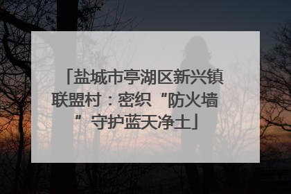 盐城市亭湖区新兴镇联盟村：密织“防火墙”守护蓝天净土