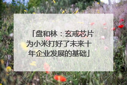 盘和林：玄戒芯片为小米打好了未来十年企业发展的基础
