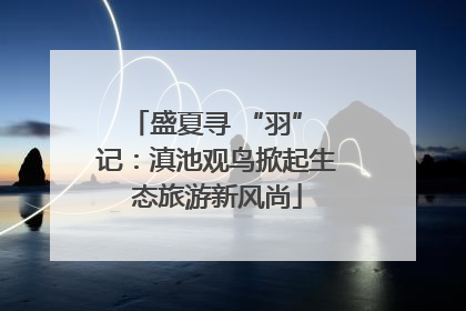 盛夏寻 “羽” 记：滇池观鸟掀起生态旅游新风尚