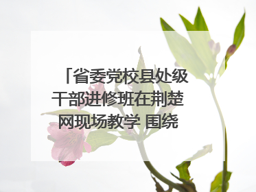 省委党校县处级干部进修班在荆楚网现场教学 围绕网络综合治理工作展开交流
