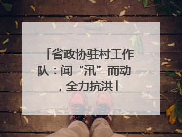 省政协驻村工作队：闻“汛”而动，全力抗洪