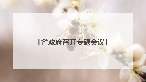 省政府召开专题会议