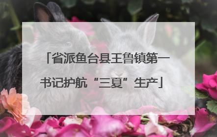 省派鱼台县王鲁镇第一书记护航“三夏”生产