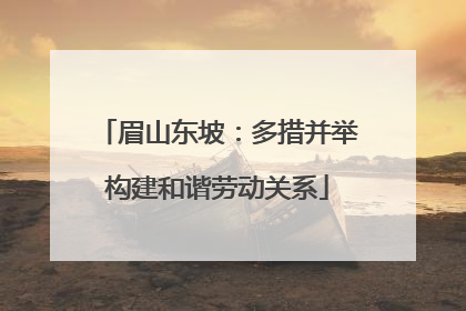 眉山东坡：多措并举构建和谐劳动关系