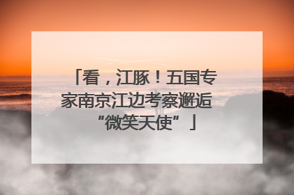 看，江豚！五国专家南京江边考察邂逅“微笑天使”