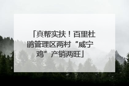 真帮实扶！百里杜鹃管理区两村“威宁鸡”产销两旺
