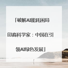 破解AI能耗困局 印裔科学家：中国在引领AI绿色发展