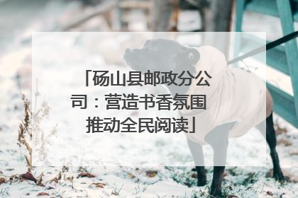 砀山县邮政分公司：营造书香氛围 推动全民阅读