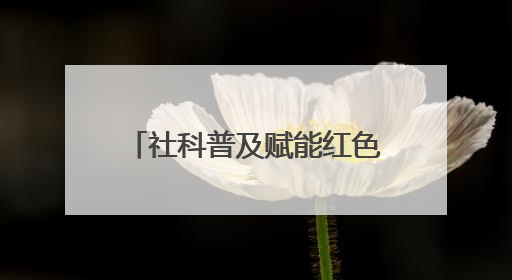 社科普及赋能红色教育！长宁区中小学 “红讲” 融入大思政课亮点频出