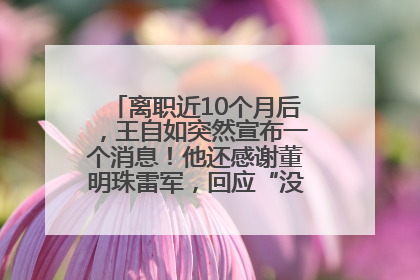 离职近10个月后，王自如突然宣布一个消息！他还感谢董明珠雷军，回应“没看过格力工资条”：真的不那么重要！