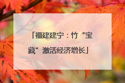 福建建宁：竹“宝藏”激活经济增长
