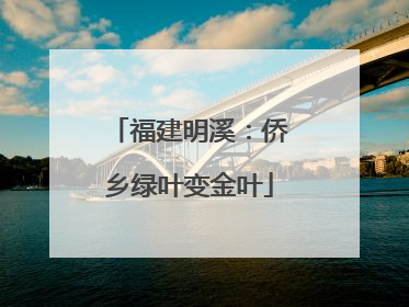 福建明溪：侨乡绿叶变金叶