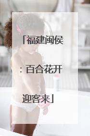福建闽侯：百合花开迎客来