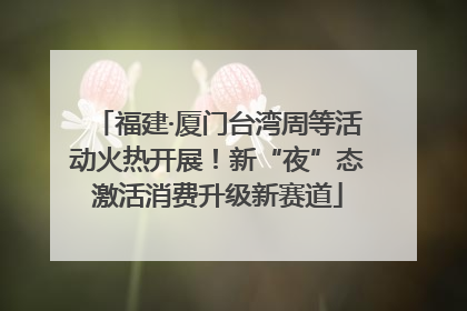 福建·厦门台湾周等活动火热开展！新“夜”态激活消费升级新赛道