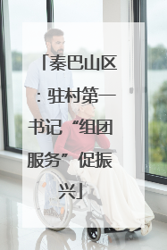 秦巴山区：驻村第一书记“组团服务”促振兴