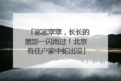 窸窸窣窣，长长的黑影一闪而过！北京有住户家中蛇出没