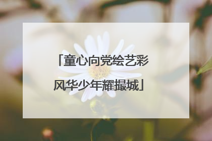 童心向党绘艺彩 风华少年耀撮城