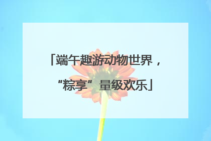 端午趣游动物世界，“粽享”量级欢乐