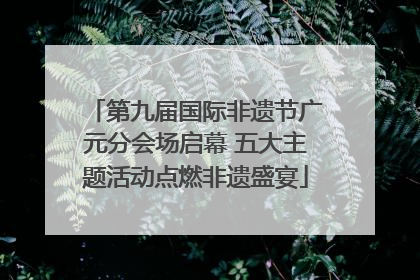第九届国际非遗节广元分会场启幕 五大主题活动点燃非遗盛宴