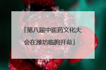 第八届中医药文化大会在潍坊临朐开幕