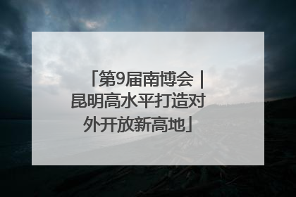 第9届南博会｜昆明高水平打造对外开放新高地