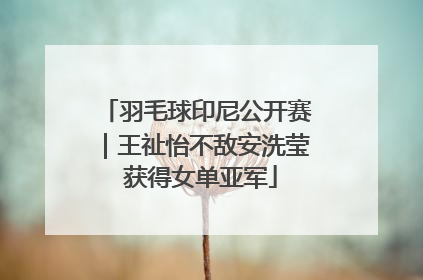 羽毛球印尼公开赛｜王祉怡不敌安洗莹 获得女单亚军
