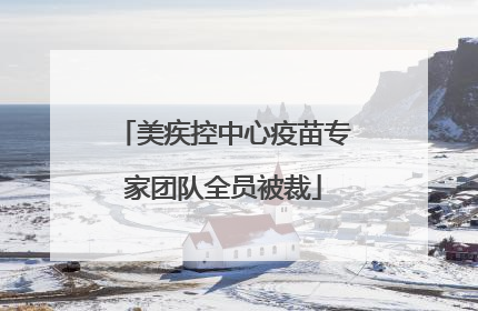 美疾控中心疫苗专家团队全员被裁