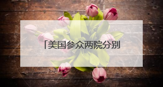 美国参众两院分别发起决议 拟限制总统发起战争的权力
