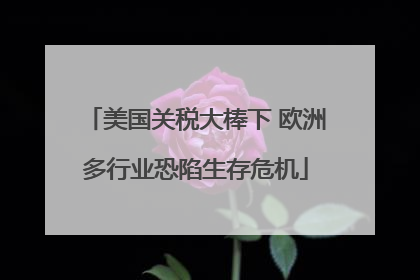 美国关税大棒下 欧洲多行业恐陷生存危机