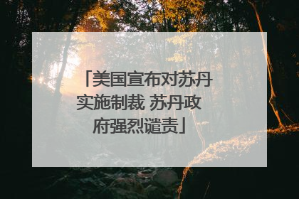 美国宣布对苏丹实施制裁 苏丹政府强烈谴责