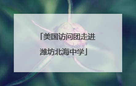 美国访问团走进潍坊北海中学