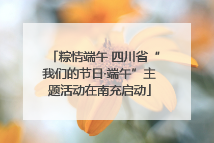 粽情端午 四川省“我们的节日·端午”主题活动在南充启动