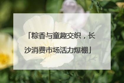 粽香与童趣交织，长沙消费市场活力爆棚