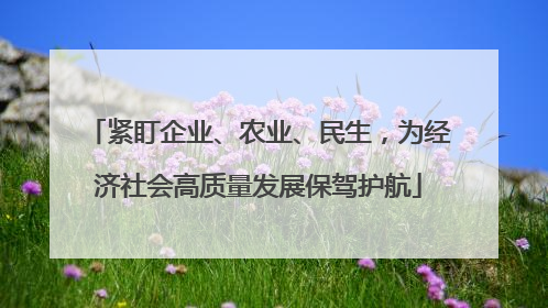 紧盯企业、农业、民生，为经济社会高质量发展保驾护航