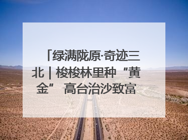 绿满陇原·奇迹三北｜梭梭林里种“黄金” 高台治沙致富很“从容”