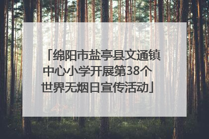 绵阳市盐亭县文通镇中心小学开展第38个世界无烟日宣传活动